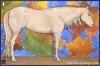 Horse Color:Gold Champagne Ice 