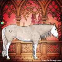 Horse Color:Silver Bay Ice Roan Dun Splash Rabicano 