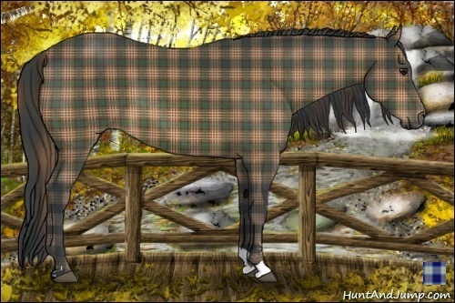 Horse Color:Plaid  Brown Sabino 