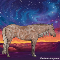 Horse Color:Silver Buckskin Ice 