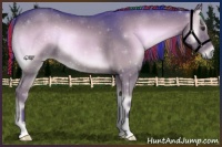 Horse Color:Painted Watercolor Liver Red Onyx 