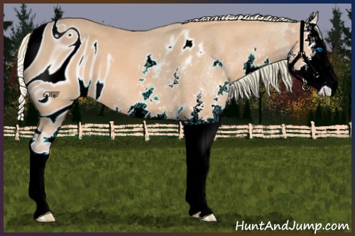 Horse Color:ERROR: UNKNOWN ANOMALY