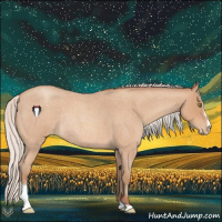Horse Color:Silver Amber Champagne Roan Sabino Varnish Rabicano 