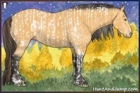 Horse Color:Amber Cream Champagne Tobiano Appaloosa Rabicano  and Buckskin Sabino Rabicano 