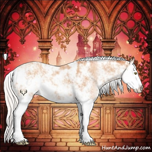 Horse Color:Silver Amber Champagne Sabino Splash 