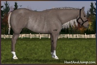 Horse Color:Silver Black Rabicano 