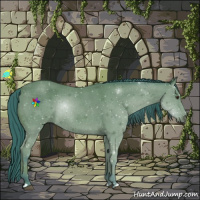 Horse Color:Watercolor Bay Roan Rabicano