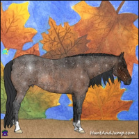 Horse Color:Bay Ice Roan Rabicano 