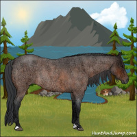 Horse Color:Bay Ice Roan Rabicano 