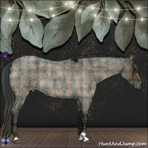 Horse Color:Plaid  Bay Ice Roan Sabino 