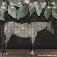 Horse Color:Plaid  Bay Ice Roan Sabino 