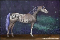 Horse Color:ERROR: UNKNOWN ANOMALY and Painted Chocolate Silver Black Chinchilla Ice 