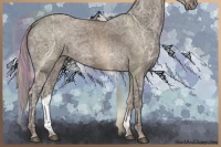 Horse Color:Silver Grullo Ice 
