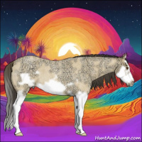 Horse Color:Buckskin Ice Roan Dun Splash Frame