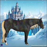 Horse Color:Midnight Buckskin Ice Pearl Dun 