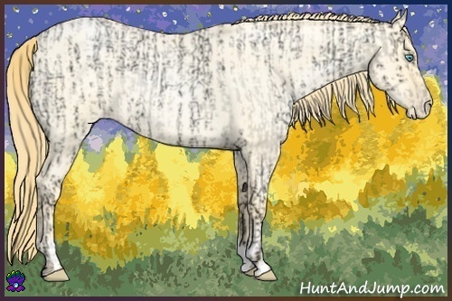 Horse Color:Buckskin Ice Roan Pearl Dun and Buckskin Roan Pearl Dun