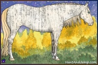 Horse Color:Buckskin Ice Roan Pearl Dun and Buckskin Roan Pearl Dun
