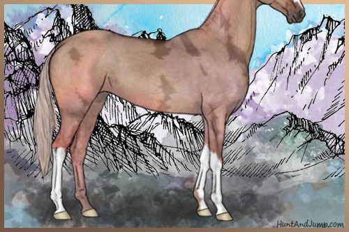 Horse Color:Silver Brown Ice Dun 