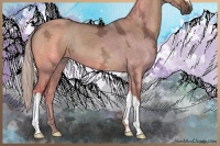 Horse Color:Silver Brown Ice Dun 