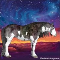 Horse Color:Brown Ice Dun Sabino Splash 