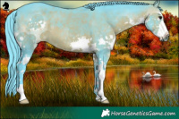 Horse Color:Watercolor Brown Splash