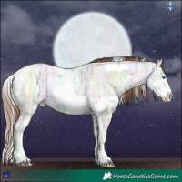 Horse Color:Brown Ice Pearl Dun Splash Tobiano 
