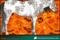 Horse Color:White Spotted Brown Ice Dun Splash 