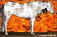 Horse Color:White Spotted Brown Ice Dun Splash 