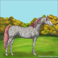 Horse Color:Painted Perlino Ice Onyx 