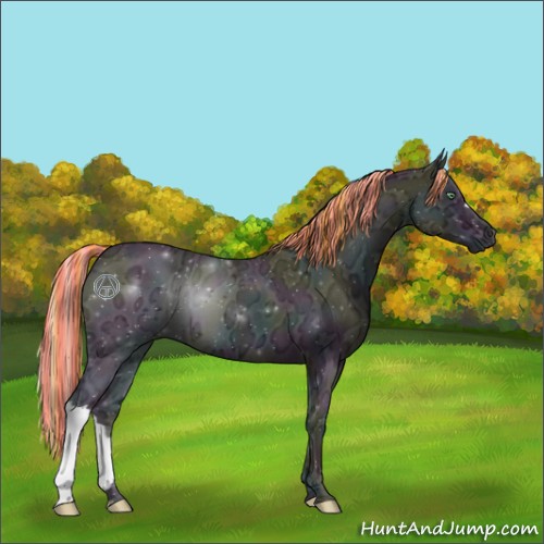 Horse Color:Painted Midnight Perlino Ice Roan Onyx 