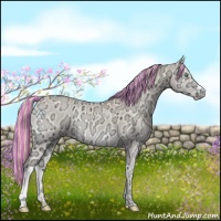 Horse Color:Painted Perlino Ice Onyx