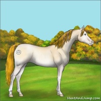 Horse Color:Painted Buckskin Pearl Onyx 
