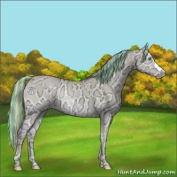 Horse Color:Painted Perlino Ice Onyx 