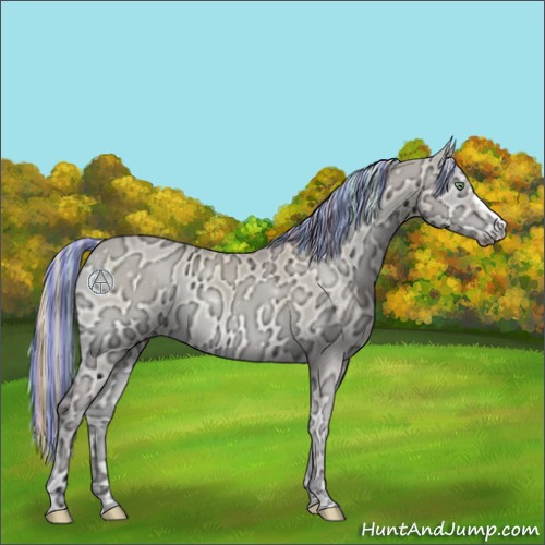 Horse Color:Painted Perlino Ice Onyx