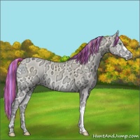 Horse Color:Painted Cremello Ice Onyx 