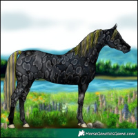 Horse Color:ERROR: UNKNOWN ANOMALY and ERROR: UNKNOWN ANOMALY