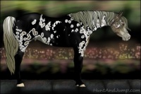 Horse Color:Brown Ice Pearl Tobiano Appaloosa 