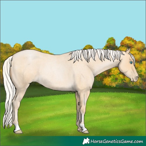 Horse Color:Silver Buckskin Roan Pearl 