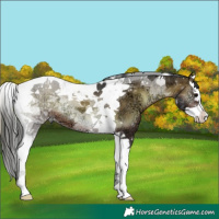 Horse Color:Brown Ice Onyx Splash Tobiano 