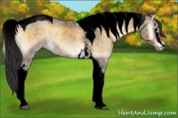Horse Color:Void White Spotted Buckskin Ice Onyx Tobiano Rabicano