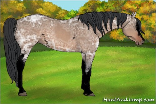 Horse Color:Void White Spotted Brown Ice Dun