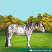 Horse Color:Brown Sabino 