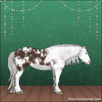 Horse Color:White Spotted Silver Brown Splash 