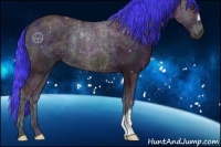 Horse Color:Watercolor Midnight Bay Ice Onyx 