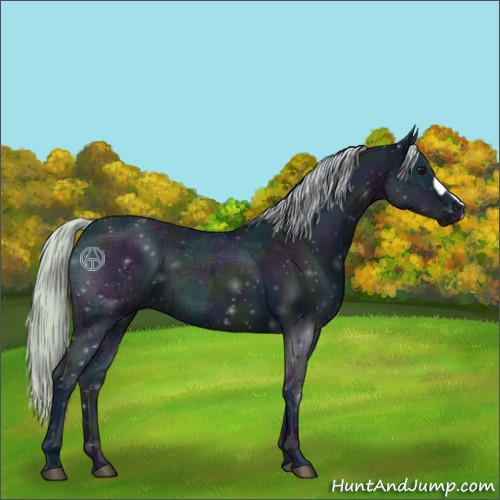 Horse Color:Watercolor Midnight Silver Brown Ice