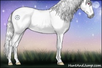 Horse Color:Red Onyx Chinchilla Rabicano 