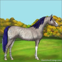Horse Color:Painted Bay Ice Roan Onyx 