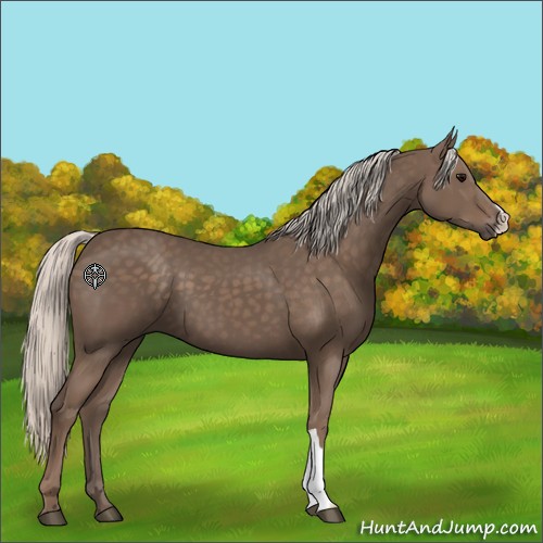 Horse Color:Silver Black 