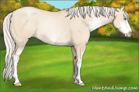 Horse Color:Silver Smoky Grullo Pearl Sabino Rabicano