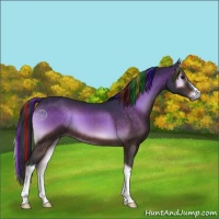 Horse Color:Painted Brown Onyx 